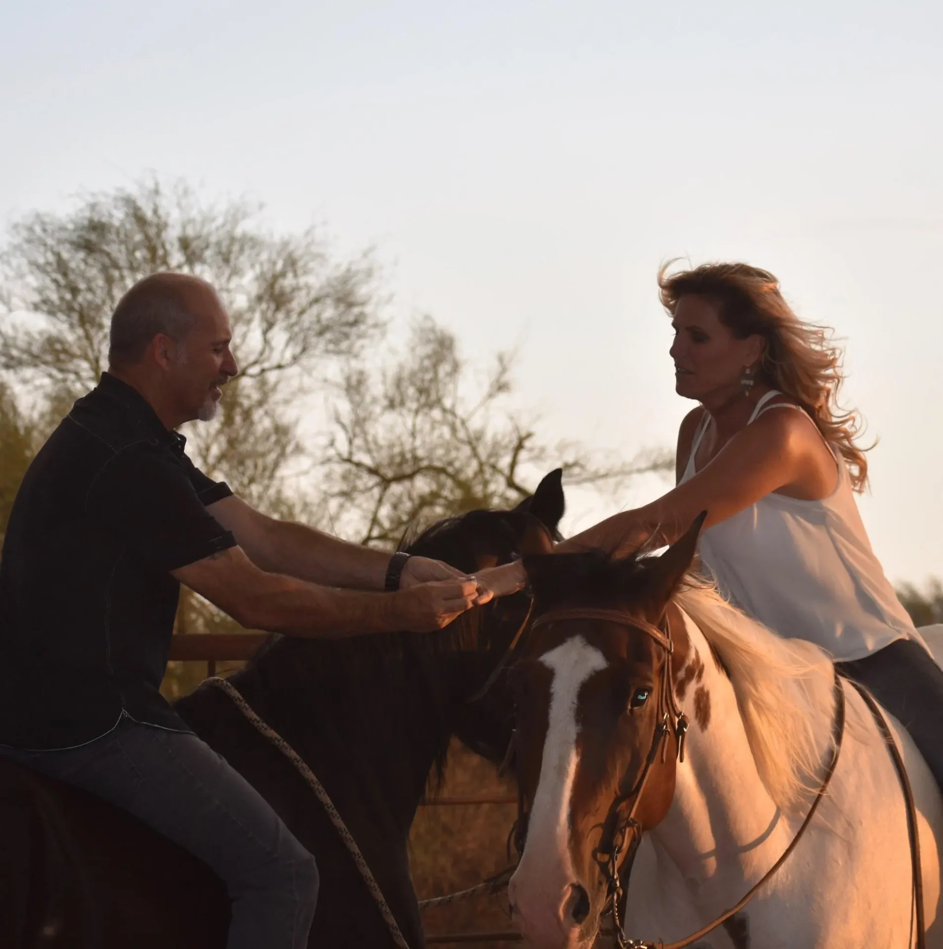 courthouse wedding, maricopa county marriage license, arizona marriage license, horseback wedding, wedding on horses